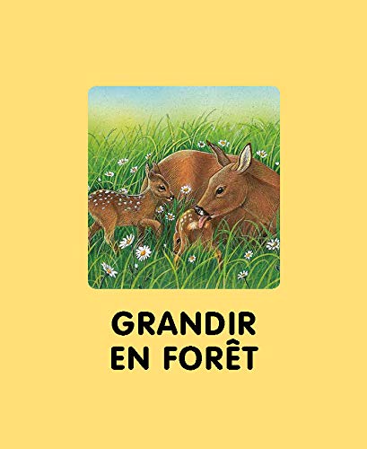 L'imagerie de la forêt