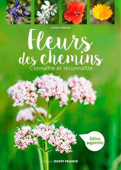 Fleurs des chemins