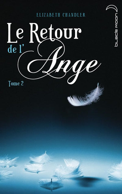 Le Retour de l'ange - Tome 2 - La Poursuite