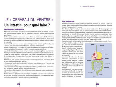 plus mal au ventre. traiter en douceur les differents problemes gastro-intesti