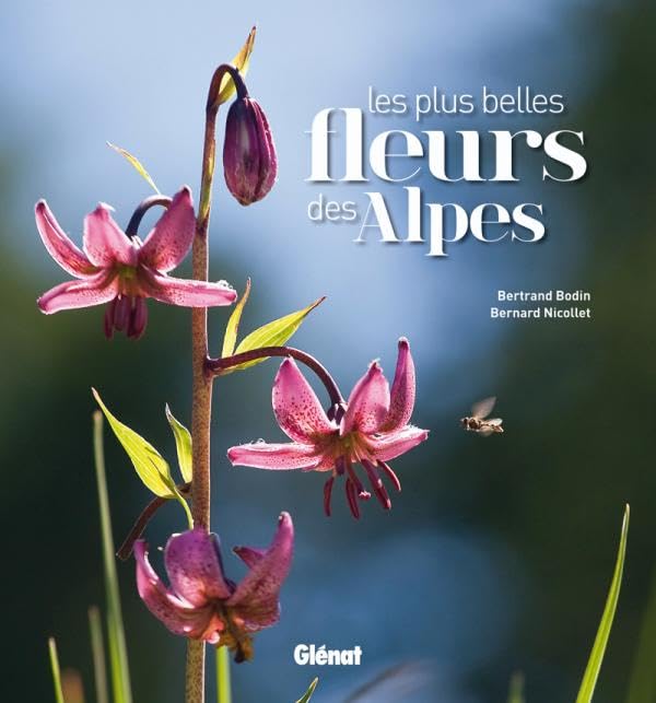 Les plus belles fleurs des Alpes