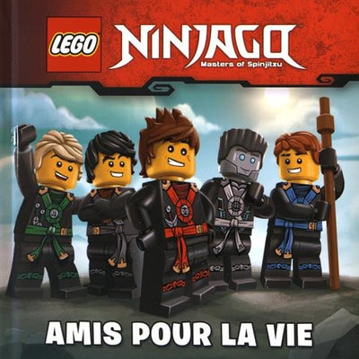 LEGO NINJAGO AMIS POUR LA VIE