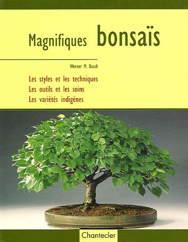 Magnifiques bonsaïs