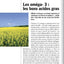 programme anti-age