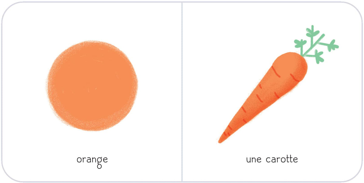 PREMIÈRES DÉCOUVERTES