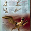 Tatoo Dragons. avec 24 tatouages à coller