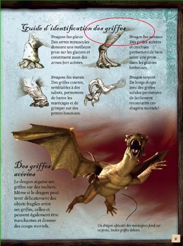 Tatoo Dragons. avec 24 tatouages à coller