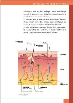 les secrets d'une belle peau