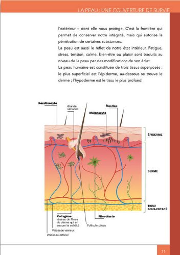 les secrets d'une belle peau