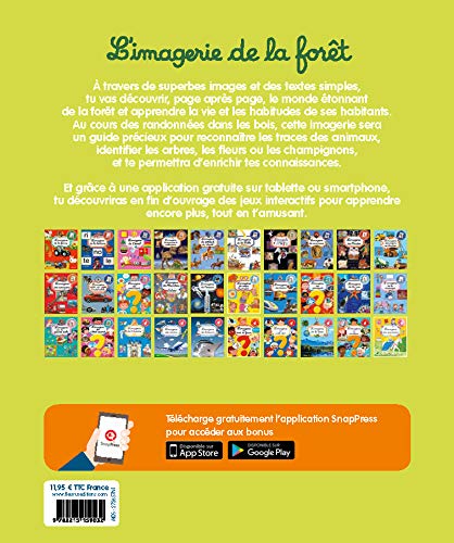 L'imagerie de la forêt