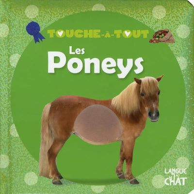 TOUCHE-A-TOUT LES PONEYS