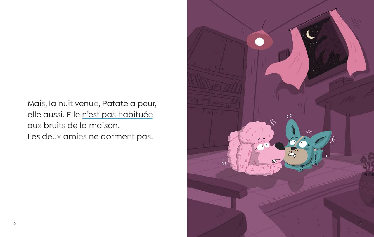 Les Amis de la ruelle- Milie a peur de la nuit - CP niveau 1- Premières lectures Lito