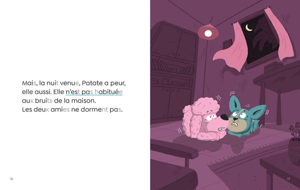 Les Amis de la ruelle- Milie a peur de la nuit - CP niveau 1- Premières lectures Lito
