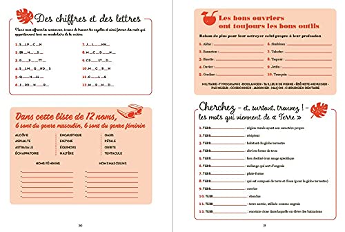 Cahier de jeux spécial langue française - 75 jeux et activités inédits