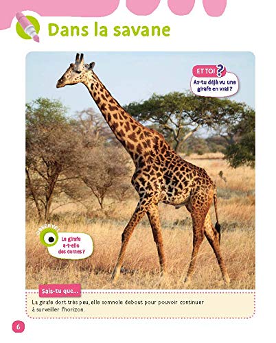 Je découvre et j'apprends en images en Grande section 5-6 ans - A la maternelle