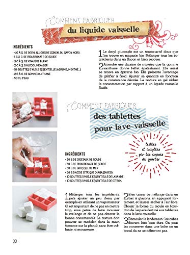 Tout faire soi-même astuces ecolo - Recyclage, DIY zéro déchet et en autonomie : cuisine, déco & objets pour la maison, cosmétiques, produits d'entretien, jardin