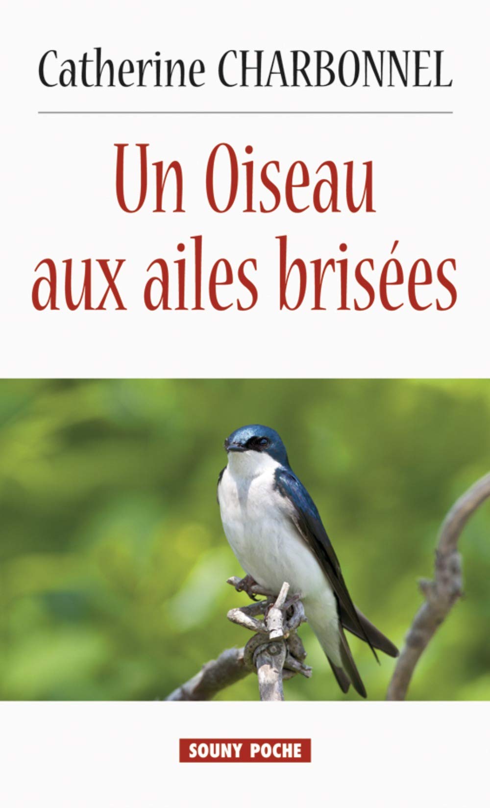 Un oiseau aux ailes brisées