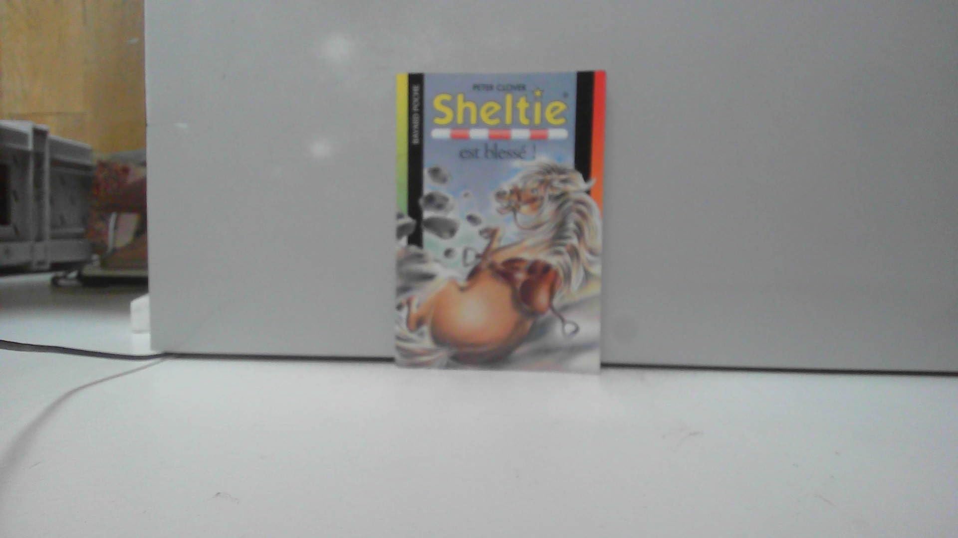 Sheltie, tome 20 : Sheltie est blessé !