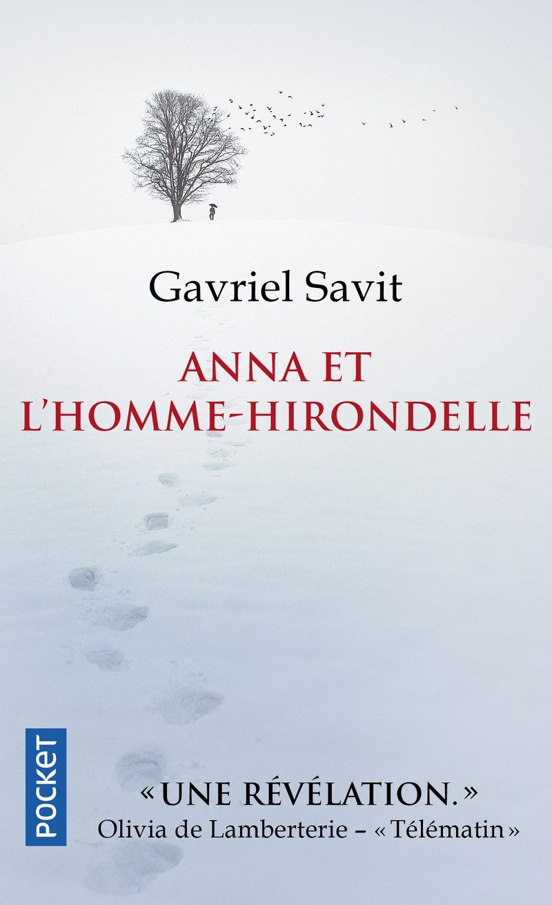 Anna et l'homme-hirondelle