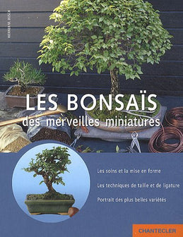 Les bonsaïs, des merveilles miniatures