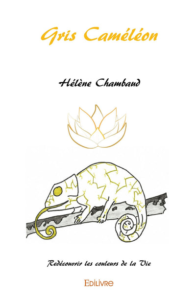 Gris Caméléon