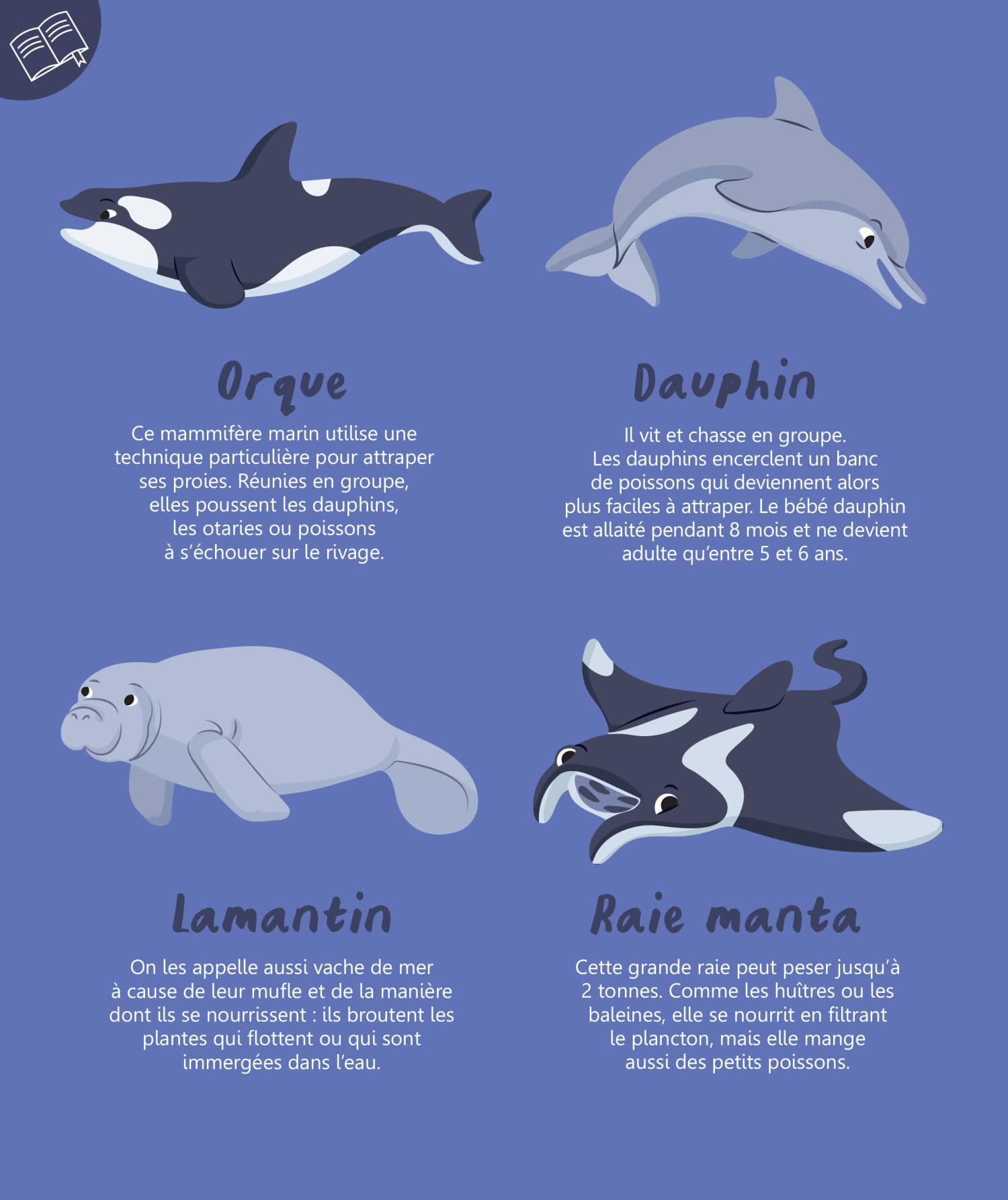 Mon imagier à colorier : les animaux de la mer