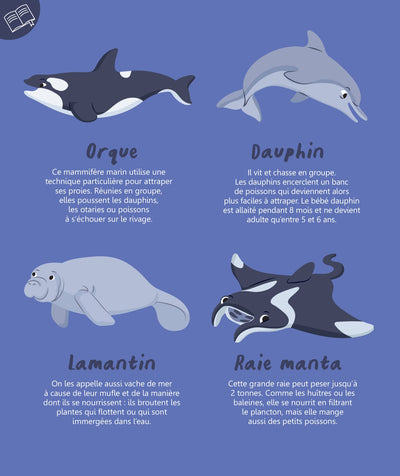 Mon imagier à colorier : les animaux de la mer