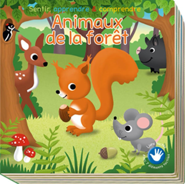 Animaux de la foret toucher, apprendre & comprendre