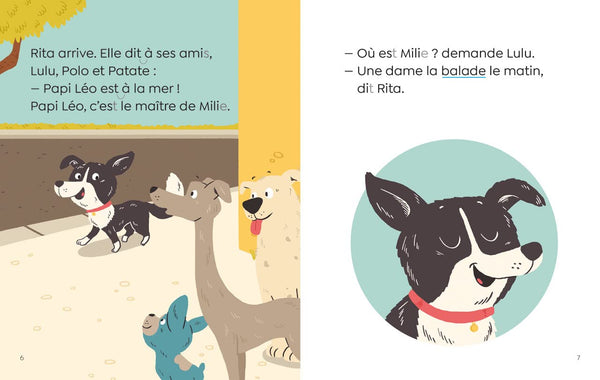 Les Amis de la ruelle- Milie a peur de la nuit - CP niveau 1- Premières lectures Lito