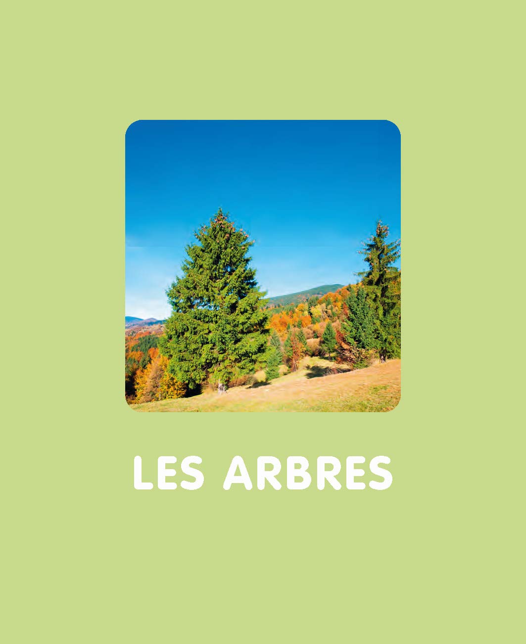 L'imagerie de la nature