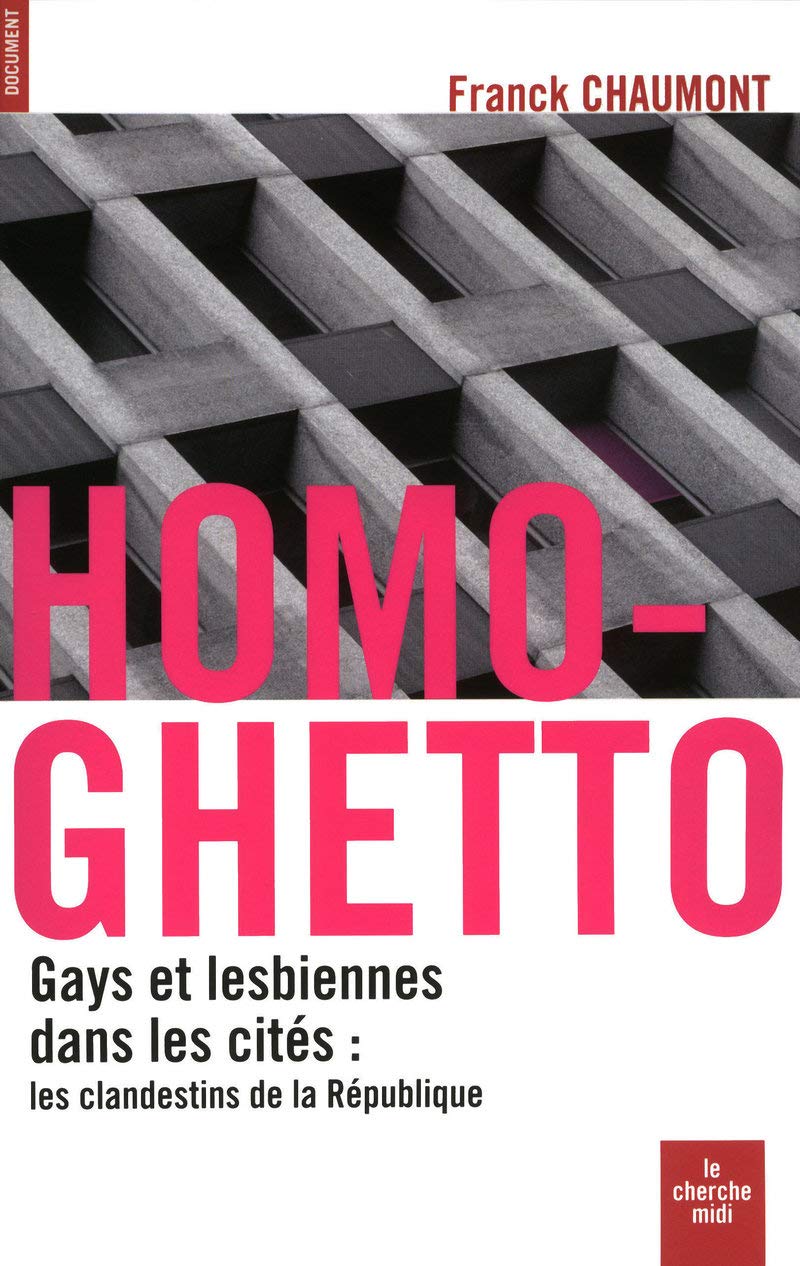 Homo-ghetto: Gays et lesbiennes dans les cités : les clandestins de la République