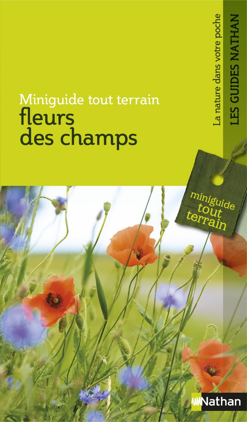 Fleurs des champs