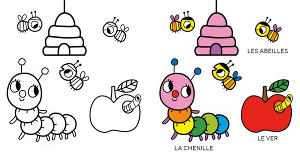 Coloriage imagier animaux