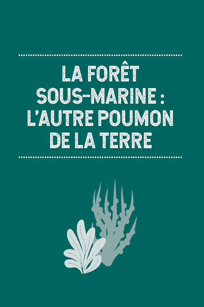 Les algues et la spiruline