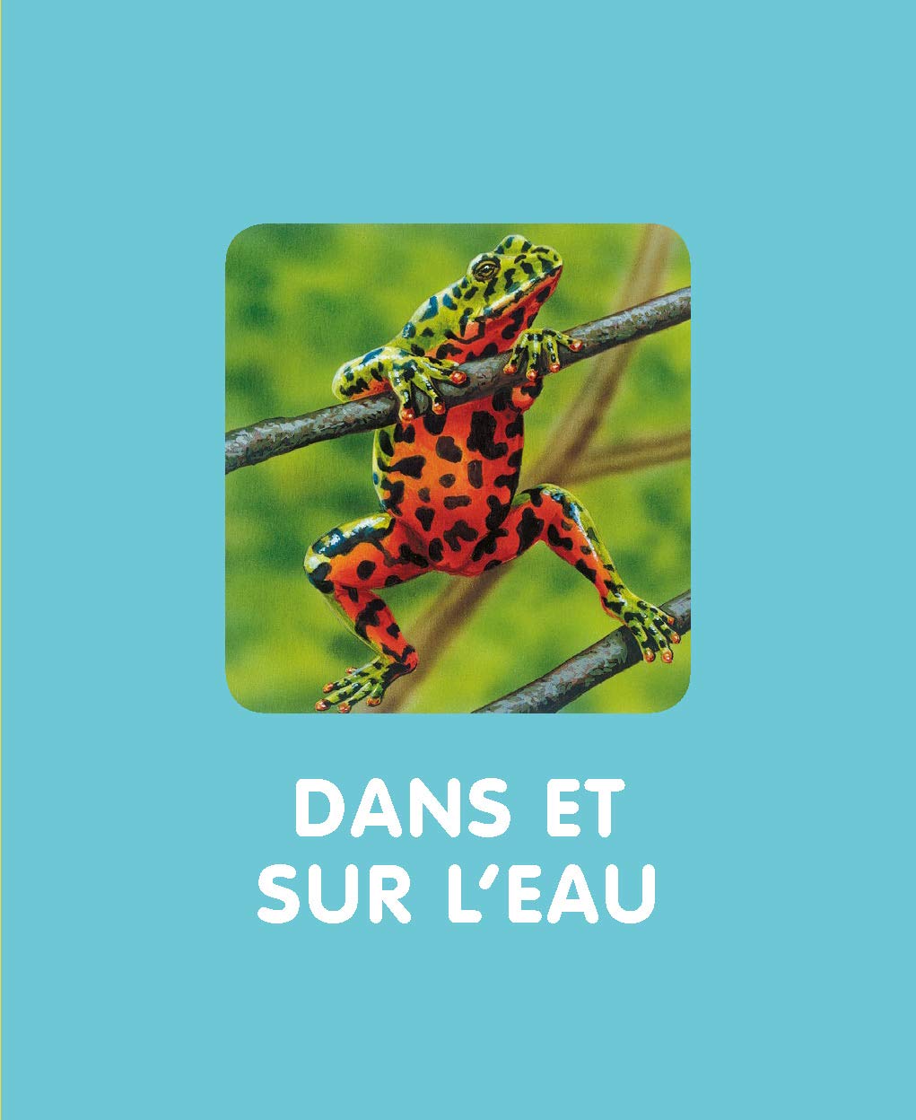 L'imagerie des petites bêtes (interactive)