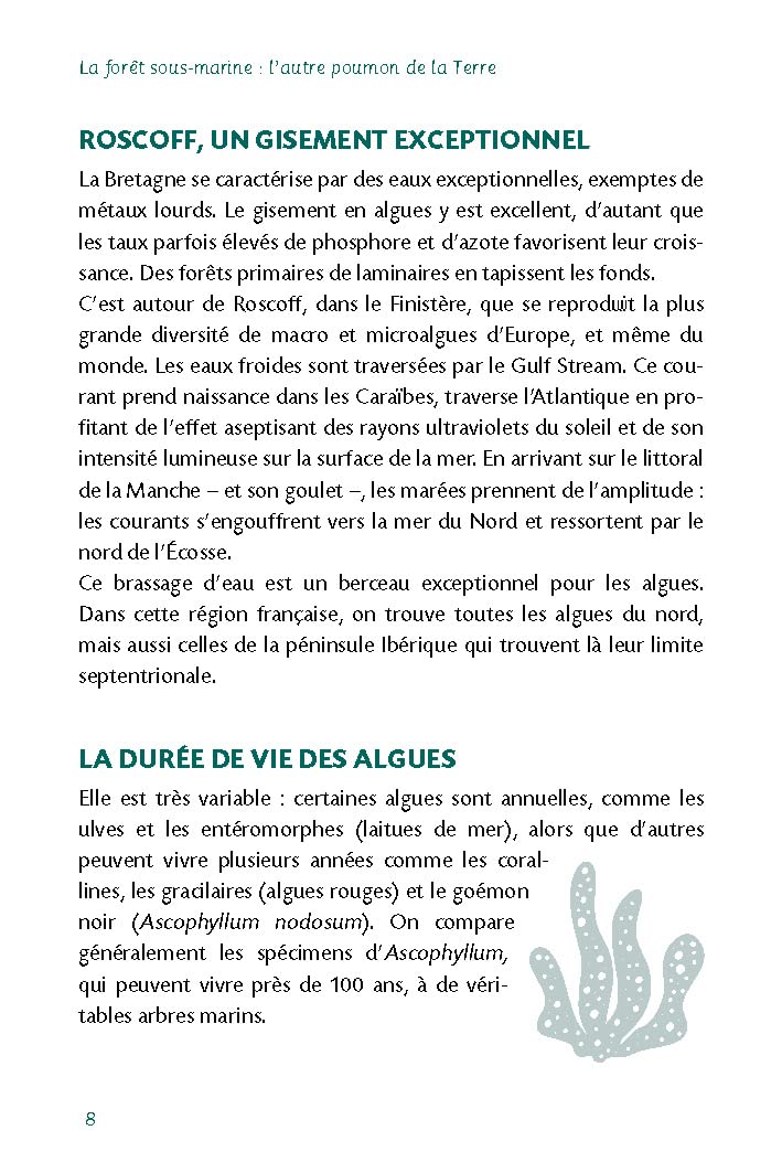 Les algues et la spiruline