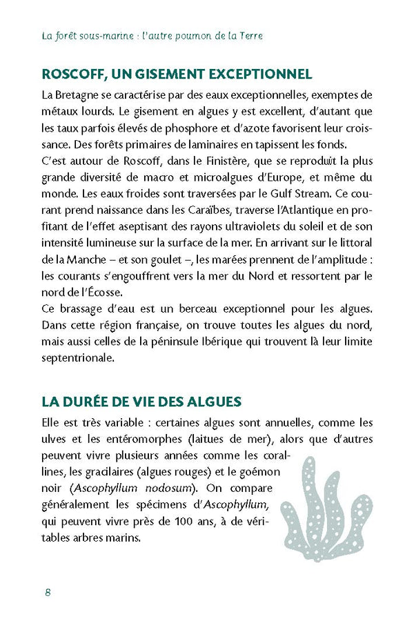 Les algues et la spiruline