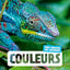 Couleurs NE: Mon imagier des animaux