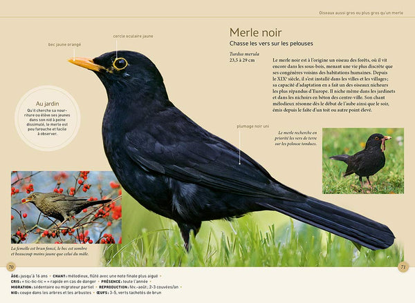 Reconnaître facilement les oiseaux du jardin - Photos grandeur nature
