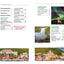 Guide Vert Islande