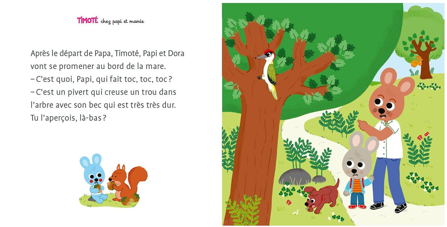 Timoté chez Papi et Mamie – Album jeunesse – À partir de 2 ans