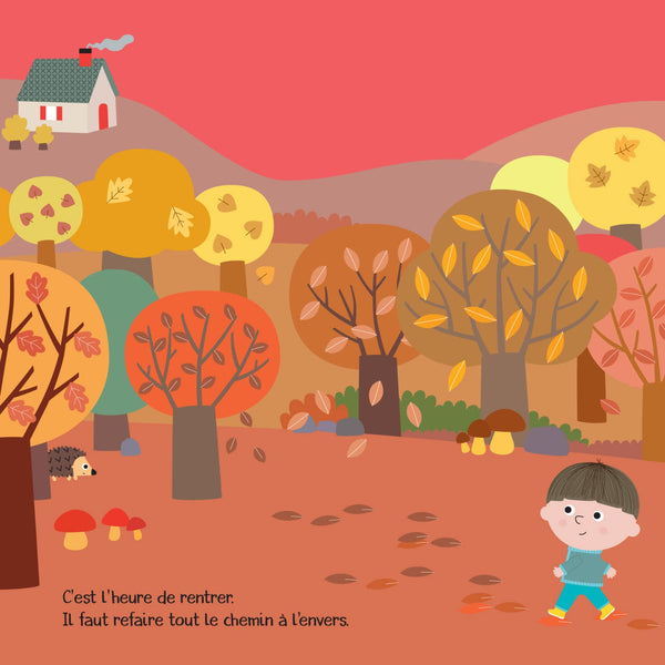 Qu'est-ce que c'est ?: Amuse-toi à reconnaitre les ombres