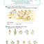 JE REVISE AVEC LES P'TITES POULES 7-8 ANS