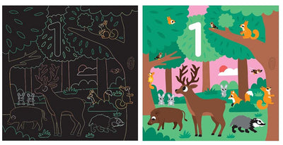 Cartes à gratter : Les chiffres – Pochette avec 10 cartes à gratter – Dès 3 ans