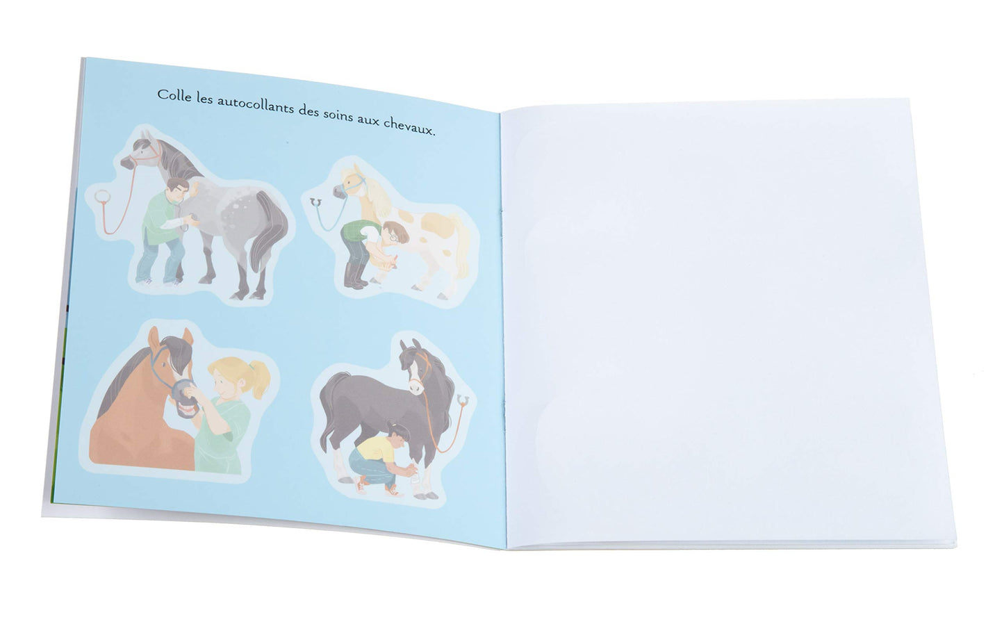 Les poneys et les chevaux