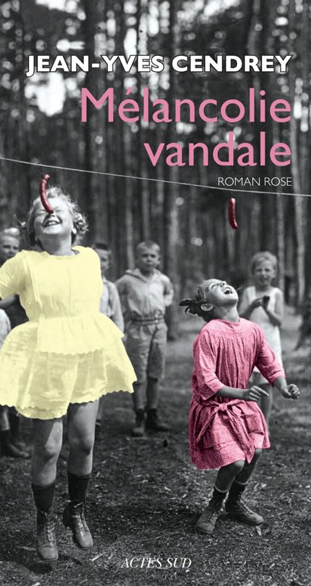 Mélancolie vandale: Roman rose