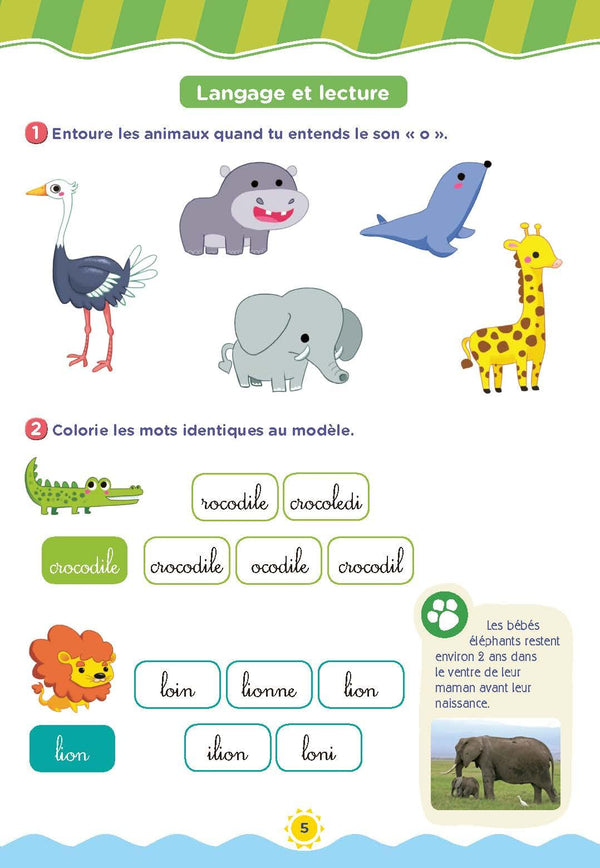 Cahier de vacances 2025, de la GS vers le CP 5-6 ans: Magnard, l’inventeur du cahier de vacances