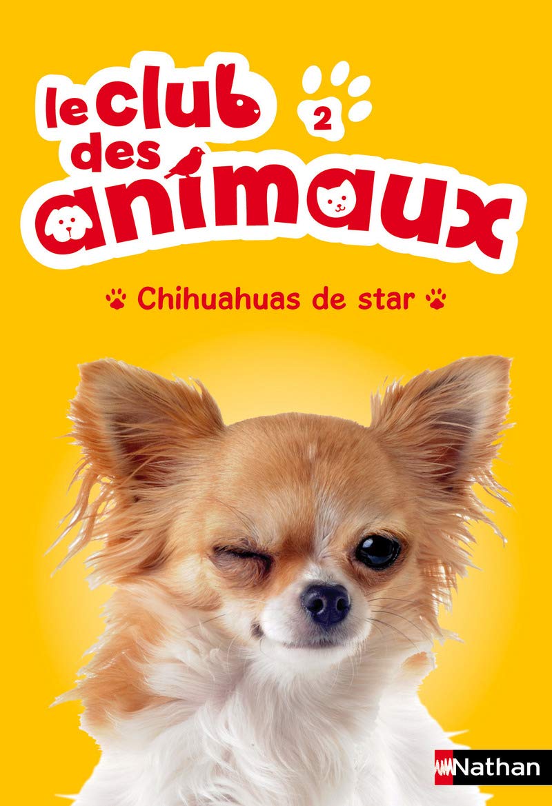 Le club des animaux : Chihuahuas de star (2)