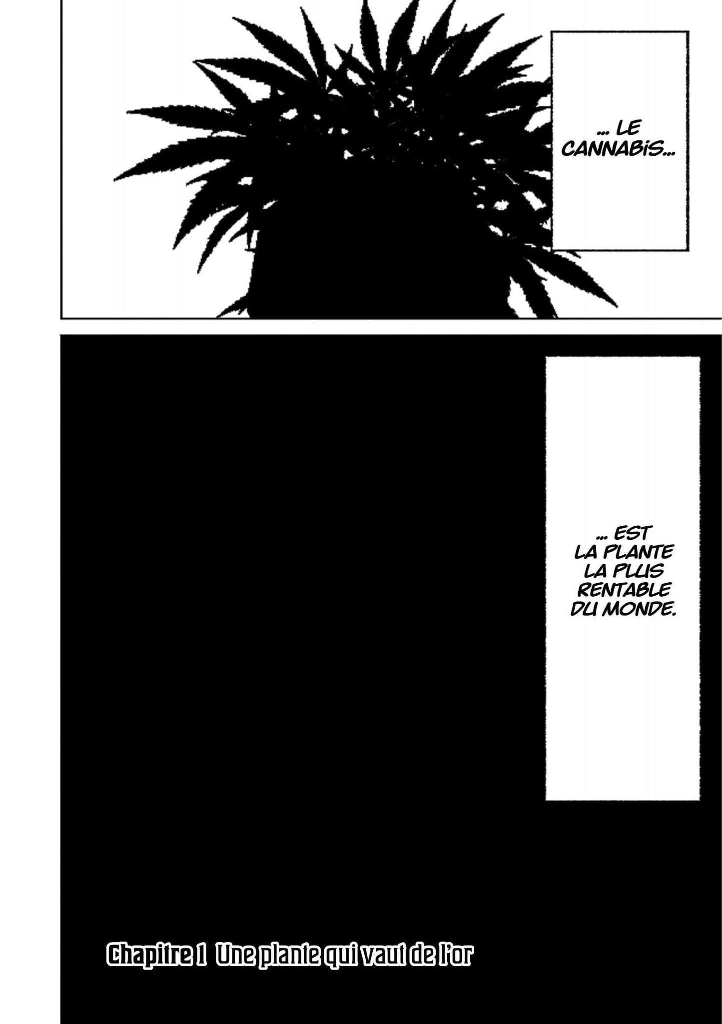 Tokyo Cannabis - Tome 1
