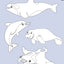 Mon imagier à colorier : les animaux de la mer